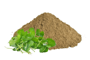 Zuvara Kash Veda Hair Cleanser (Shampoo) – Ayurvedic Hair Growth & Hair Fall Control Formula